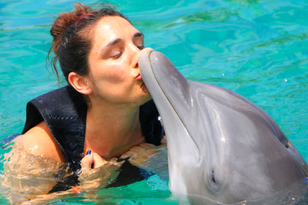 mejores lugares del mundo para nadar con delfines Dolphinaris