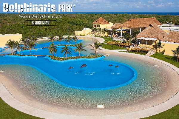 mejores lugares del mundo para nadar con delfines Dolphinaris