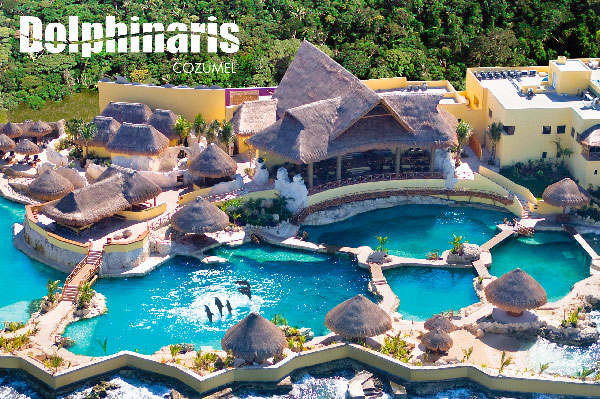 mejores lugares del mundo para nadar con delfines Dolphinaris