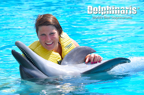 determine the age of a bottlenose dolphin by counting each layer in their teeth