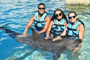 nadar con delfines en familia