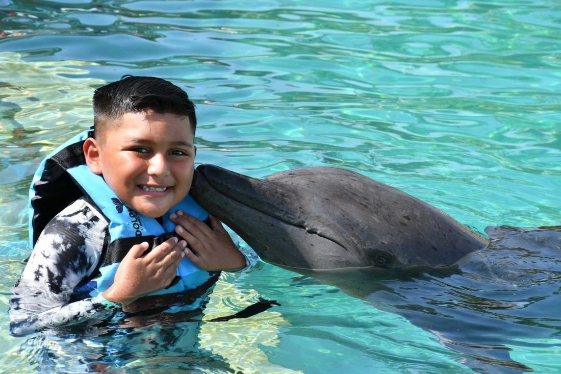 niño nadando con delfines en dolphinaris