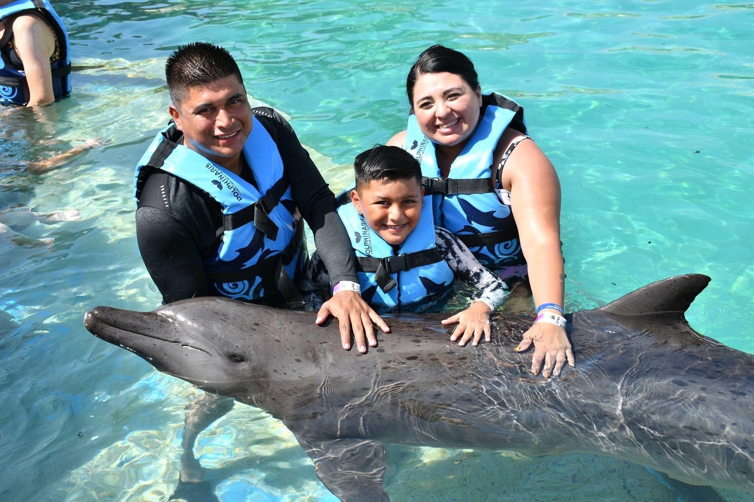 nadar con delfines en familia en cancun