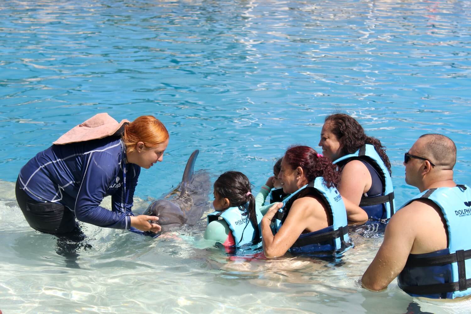 ¡Conoce los Animales Marinos Más Inteligentes!