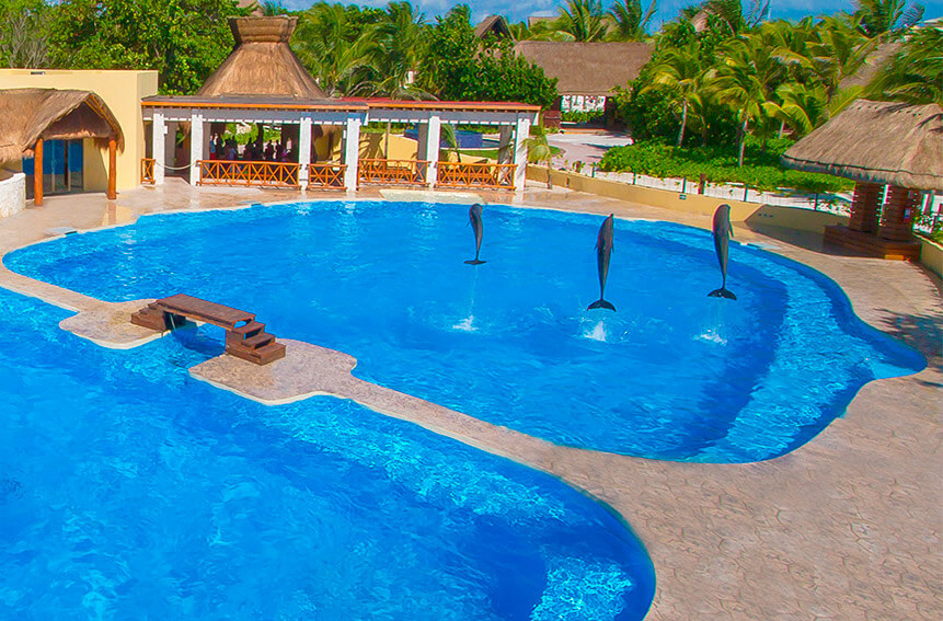 Barcelo Maya beach resort-puerto aventuras-Best Dolphinariums In the Mayan Riviera