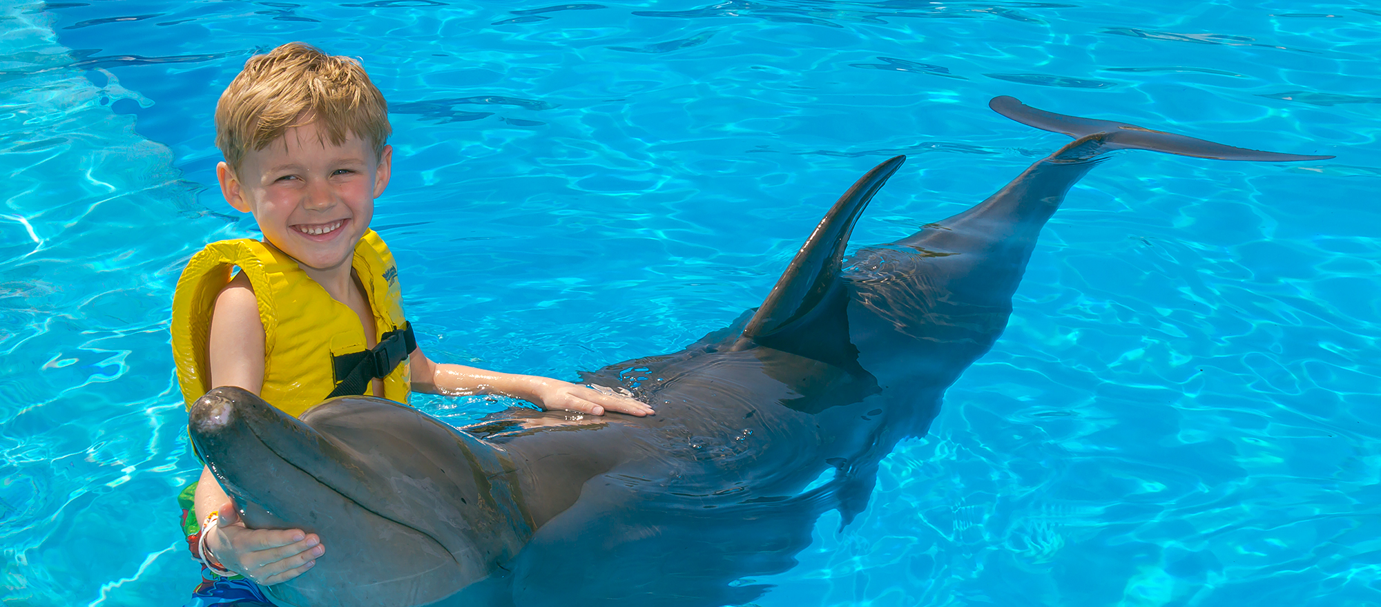 Swimming with dolphins, a unique experience for enjoying Cancun