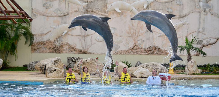 Cancun’s Best Dolphinarium!