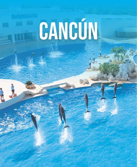 Cancun-Dolphinaris