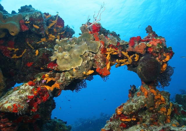 The four best Nature Reserves of Quintana Roo