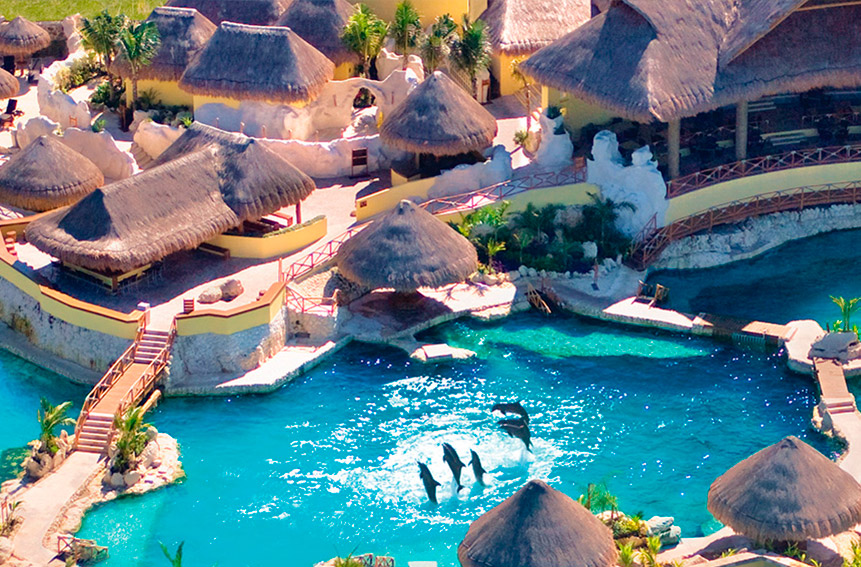 cozumel-Best Dolphinariums In the Mayan Riviera