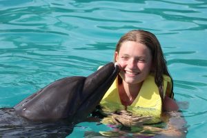 delfines en riviera maya