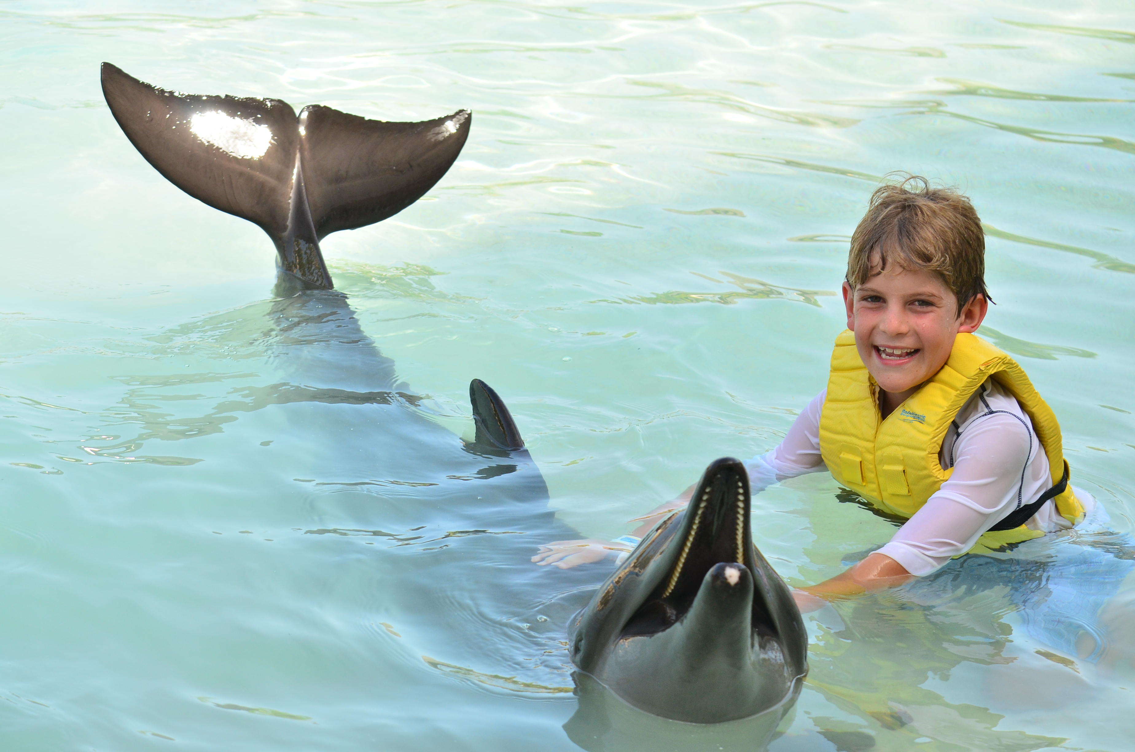 Dolphin-safe ways to protect yourself from the sun