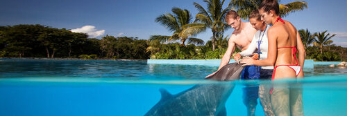 Mejores lugares para nadar con delfines en el mundo Dolphinaris
