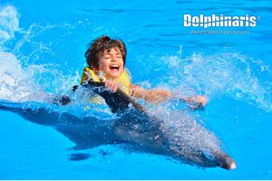 Dolphin Swim and Ride en Dolphinaris Riviera Maya Park