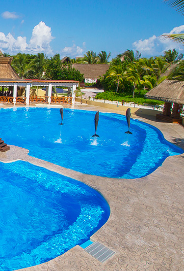 dolphinaris-barcelo-movil Dolphinaris Barcelo