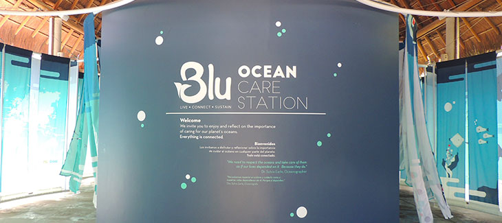 Dolphinaris acaba de convertirse en algo más INCREÍBLE: Blue Ocean Care Station