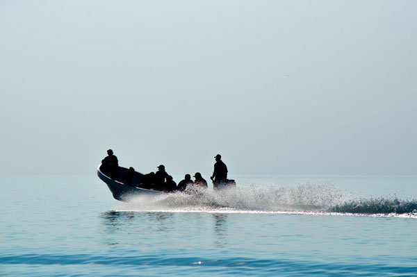 Limpieza de Playas de Dolphinaris
