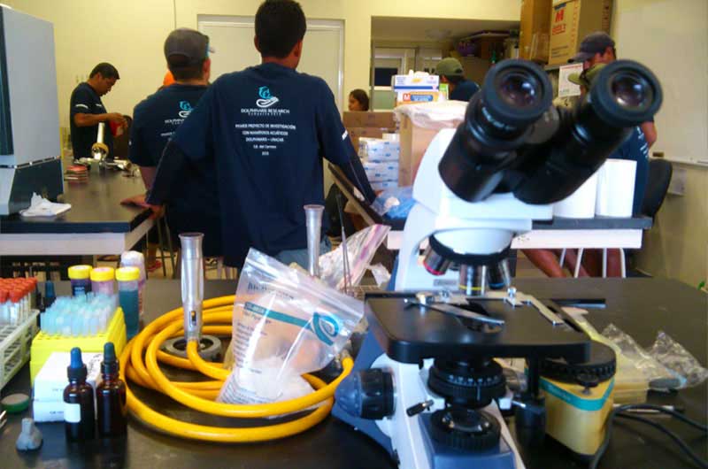 dolphinaris-foundation-conservation-dolphins-sample-collection