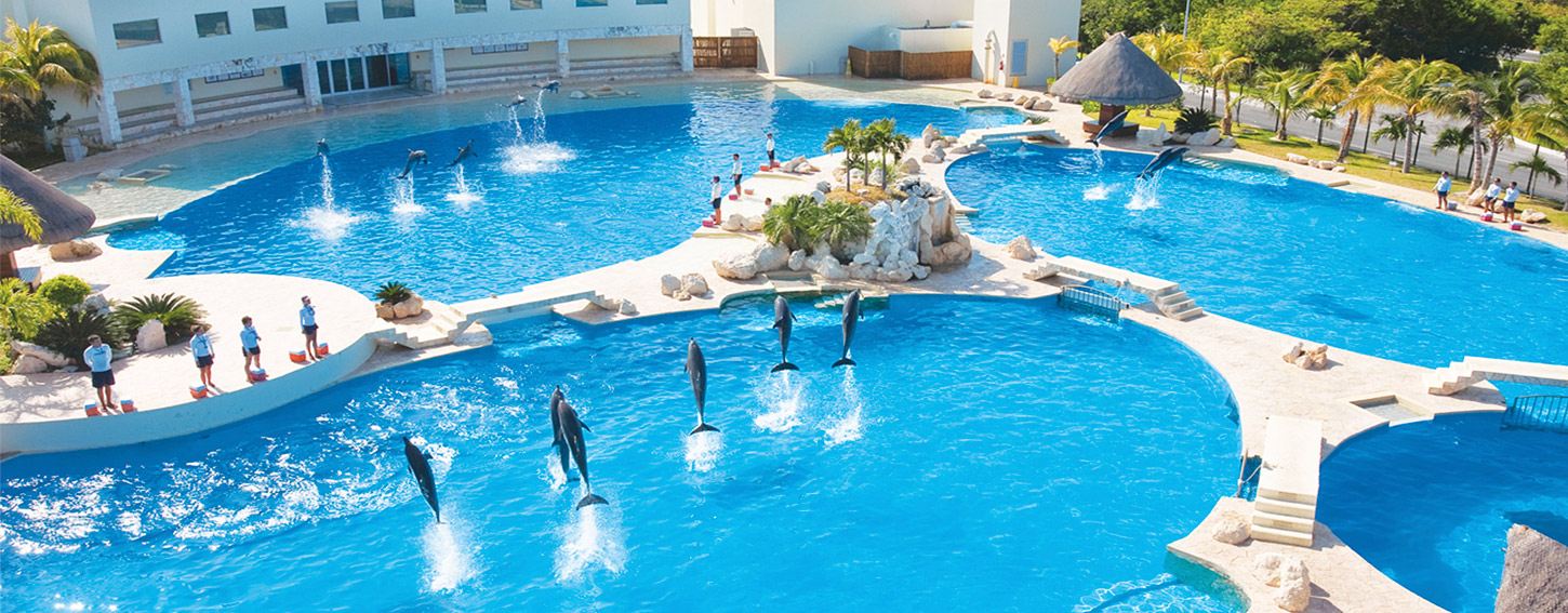 dolphinaris-locations-cancun Dolphinaris Cancun
