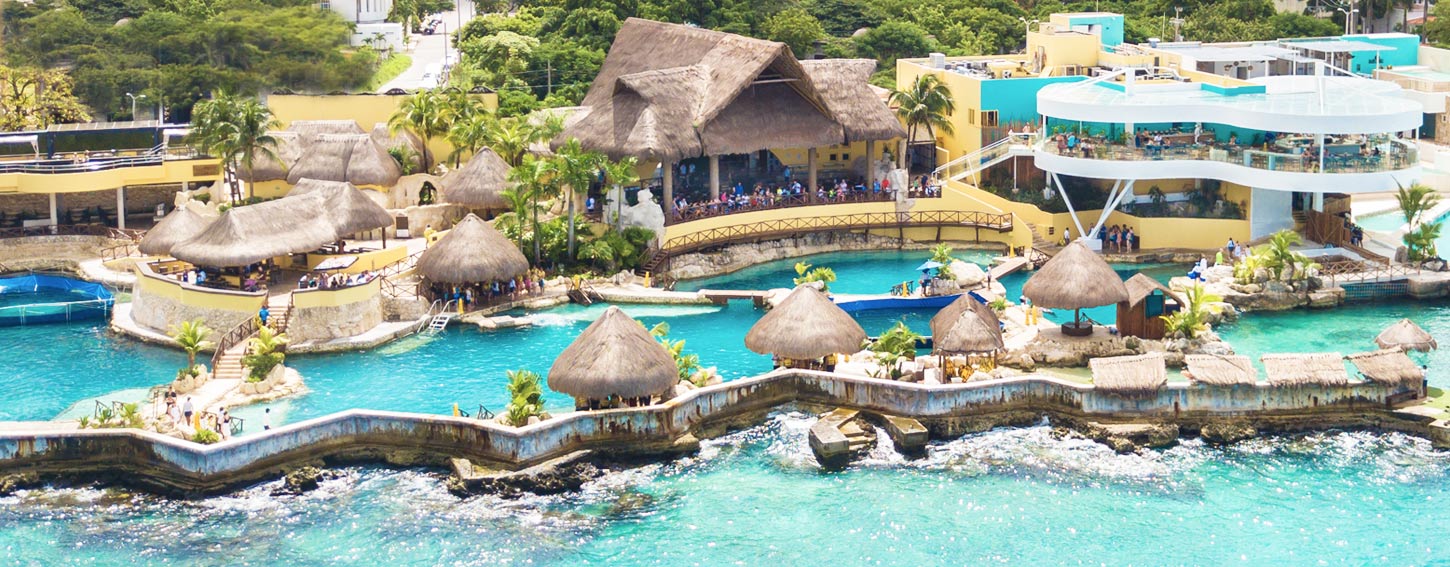 dolphinaris-locations-cozumel Dolphinaris Cozumel