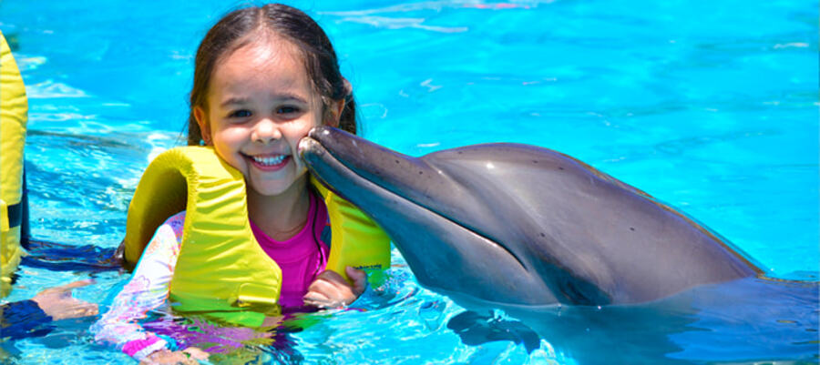 Programas de nado con delfines en Cancún México Dolphinaris