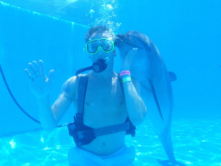 Oceans Secrets Nadar con Delfines Cancún Dolphinaris