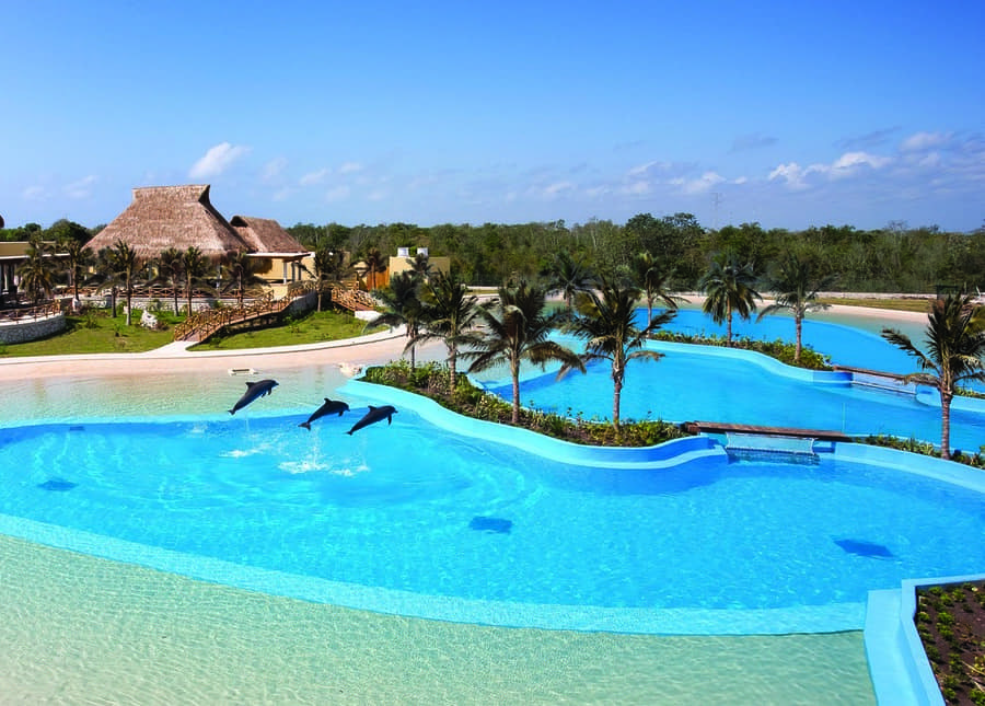 Dolphinaris Riviera Maya Cancún Nado con Delfines