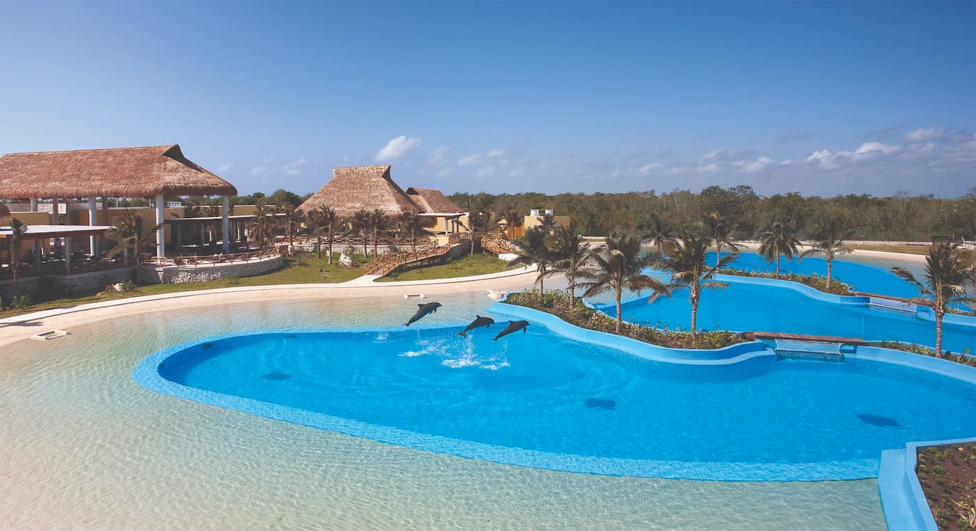 Akumal: Tierra de tortugas… ¡Y de humanos!