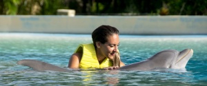 dolphinaris-trainer-for-a-day-riviera-maya