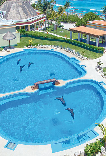 dolphinaris-tulum-movil Dolphinaris Tulum