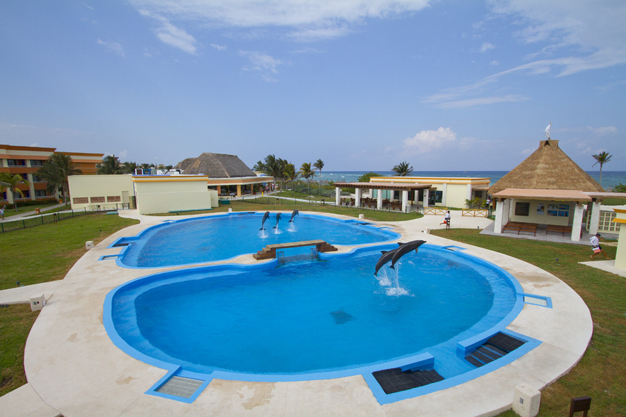 Dolphinaris Tulum es disfrutar y nadar con delfines