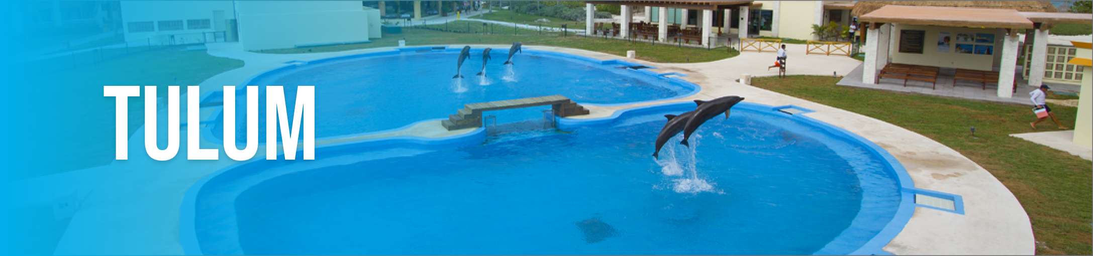 dolphinaris-tulum