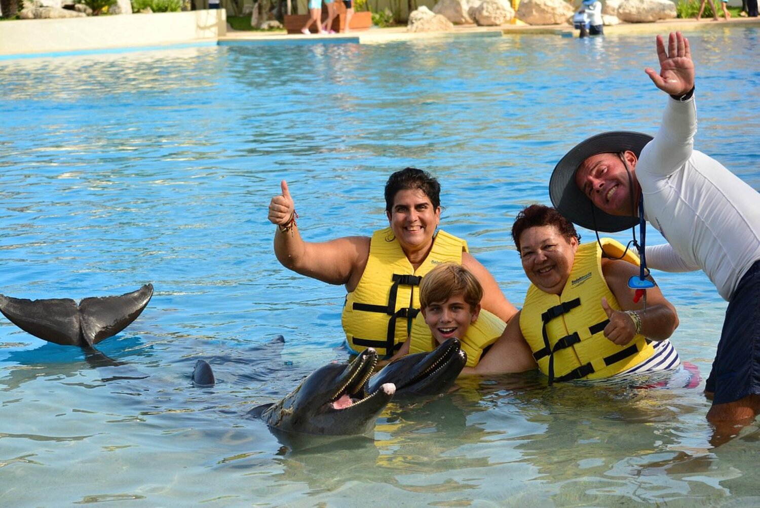 ¿Dónde Puedo Nadar con Delfines en Cancún?