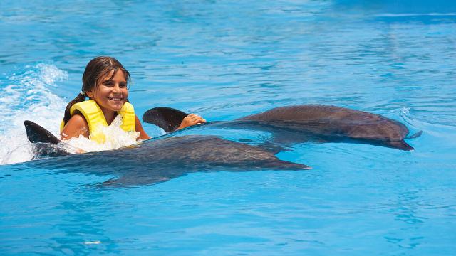 Disfruta de un viaje inolvidable: ¡Viajando con niños!