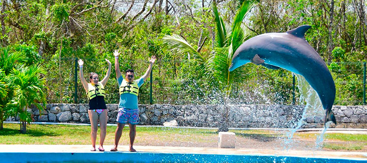 Entrenador por un día en Dolphinaris Riviera Maya