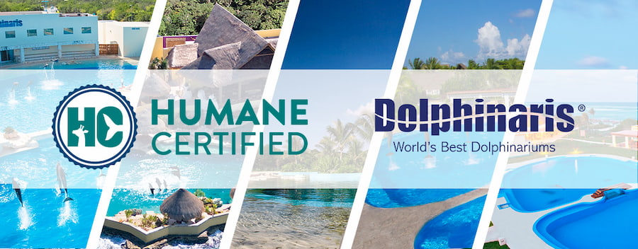 Dolphinaris receives certificate from American Humane Conservation for high care standards