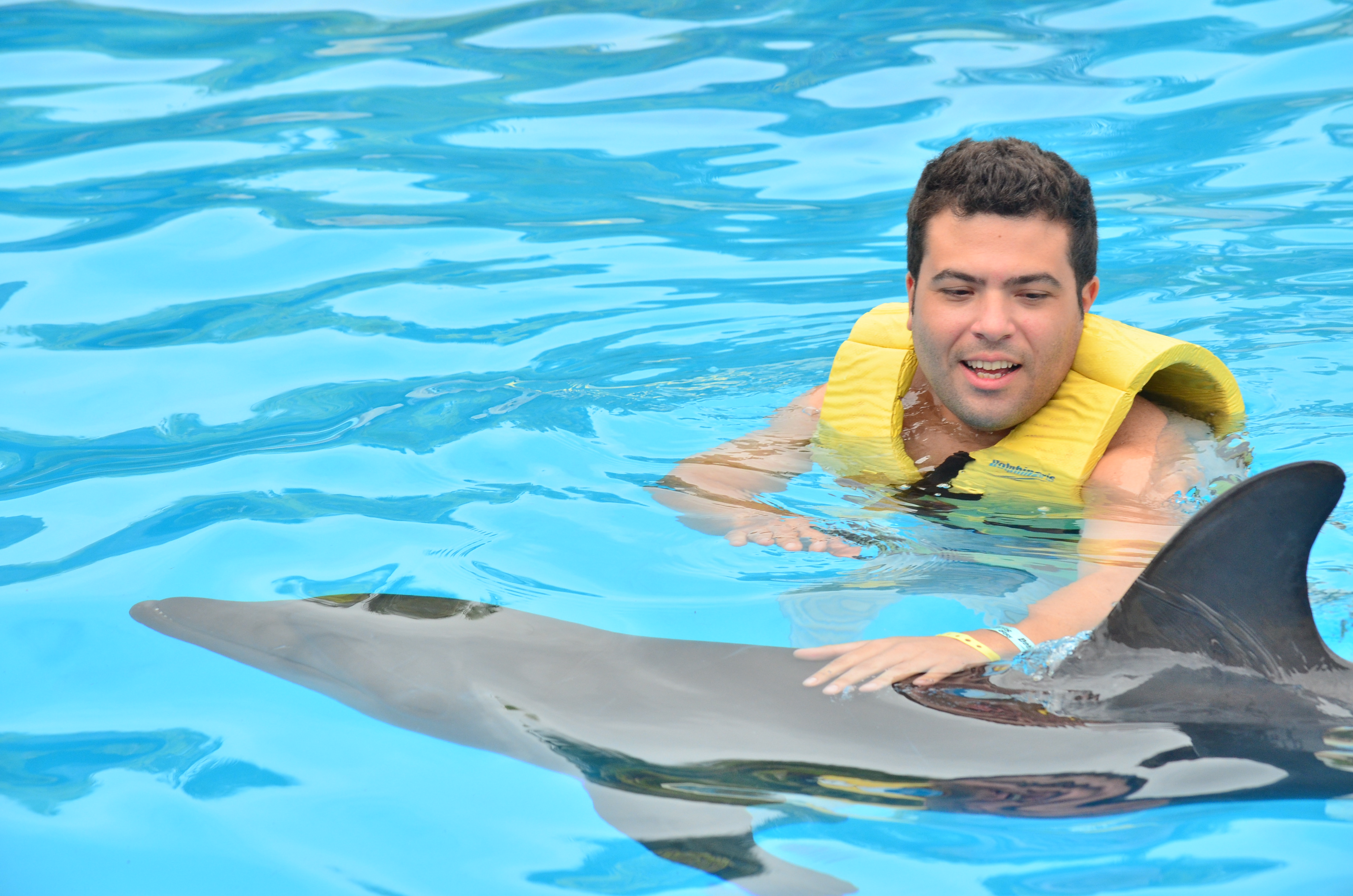 Dolphin Swim Speed Ride