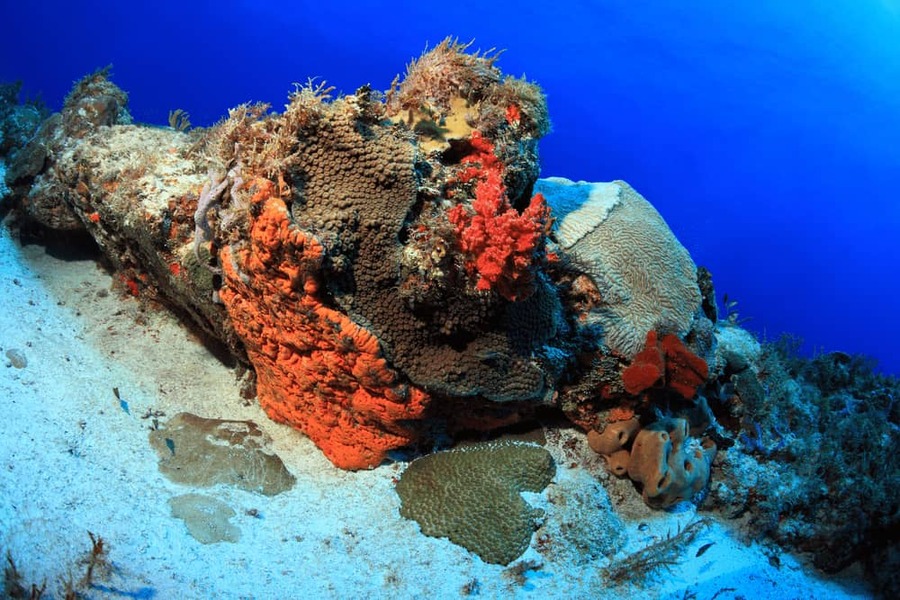 Las mejores actividades acuáticas en Cancún