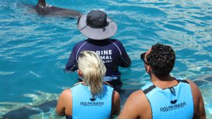 pareja interactuando con delfines en cancun