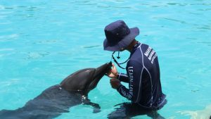 especialistas en mamiferos marinos