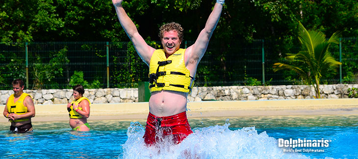 Todo acerca de mi EMOCIONANTE nado con delfines en la Riviera Maya