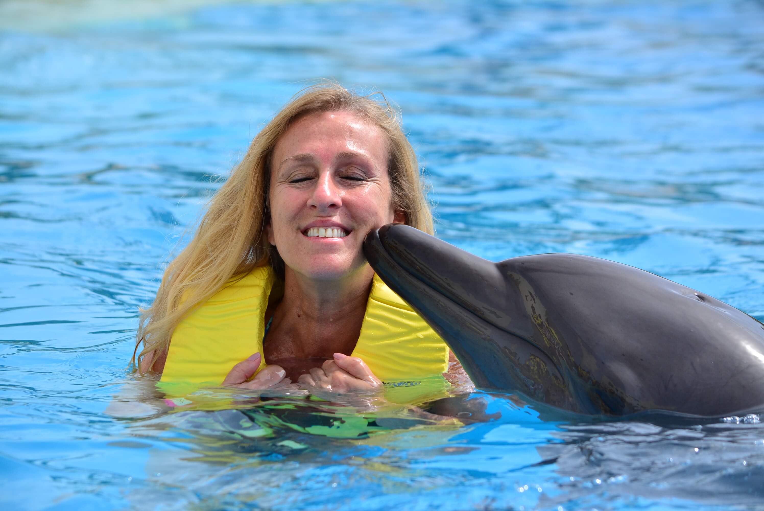 Mexico Unplugged and swimming with dolphins