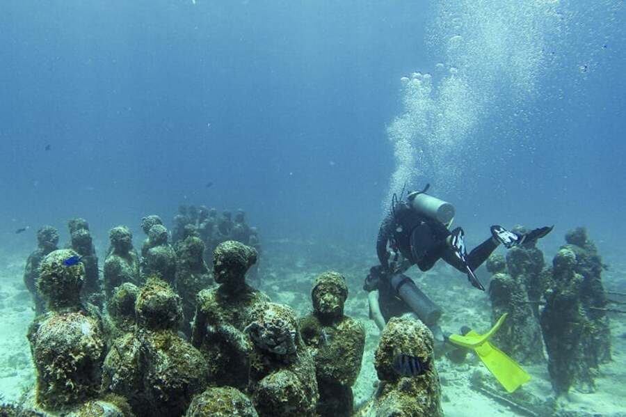 Museo Musa Cancún Dolphinaris