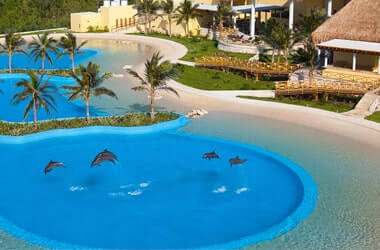 Nadar con Delfines en Riviera Maya