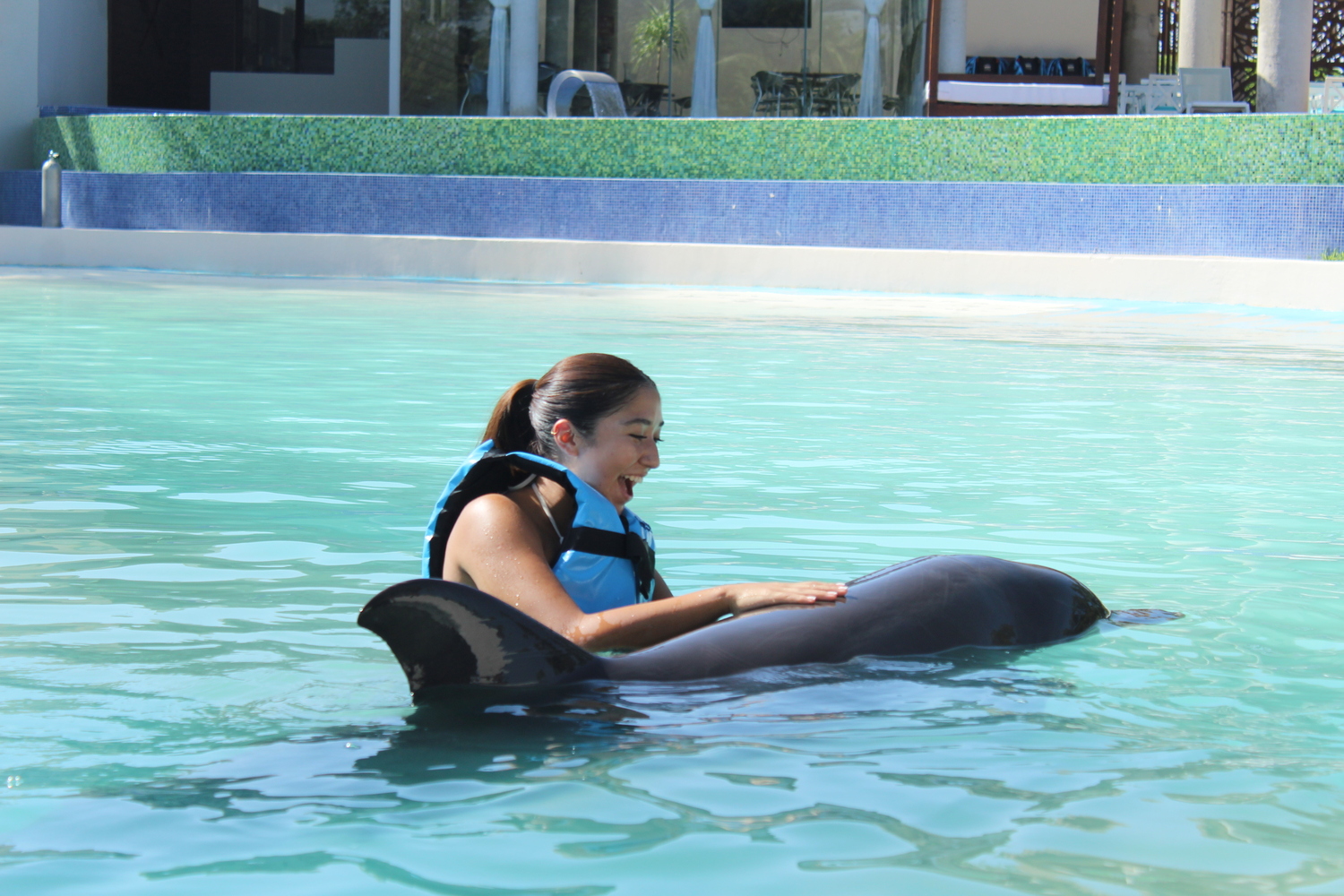 Precios para Nadar con Delfines en Riviera Maya