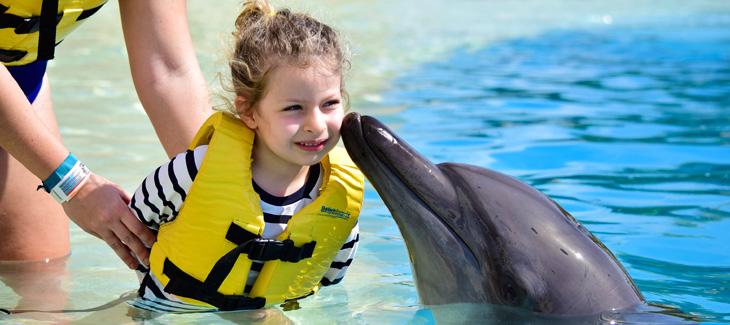 ¿Por qué nadar con delfines es una experiencia de vida para los niños?