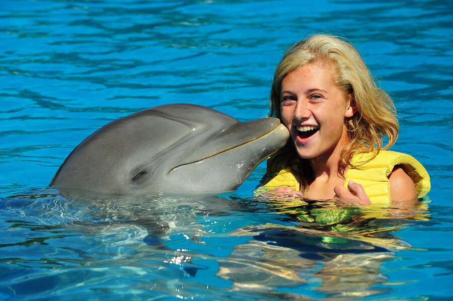 Nadar con delfines en Mexico Dolphinaris