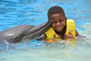 nado con delfines para niños