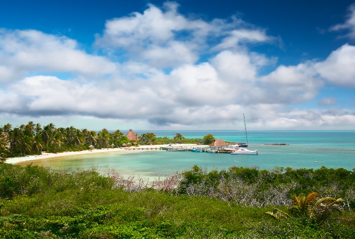 Swimming with dolphins at this setting!