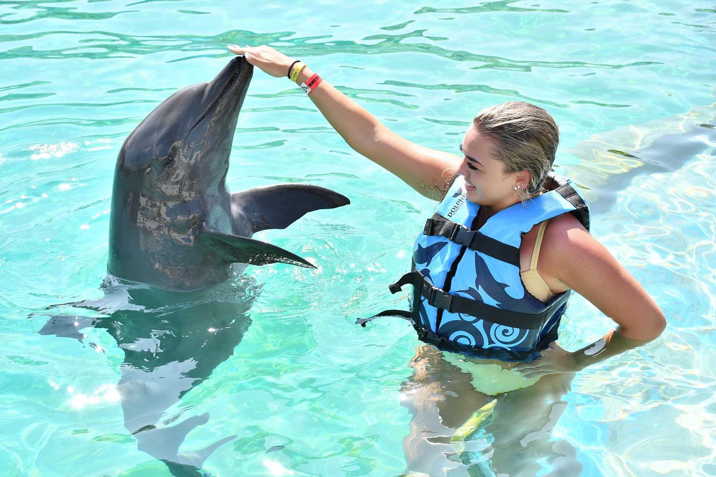 Precios de Experiencia de Nado con Delfines en Cancún